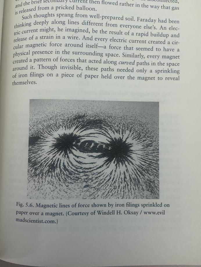 Faraday, Maxwell, and the Electromagnetic Field