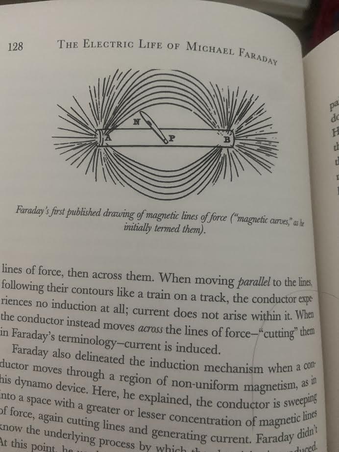Hardcover: The Electric Life of Michael Faraday (Reserve if interested, charged when delivered)